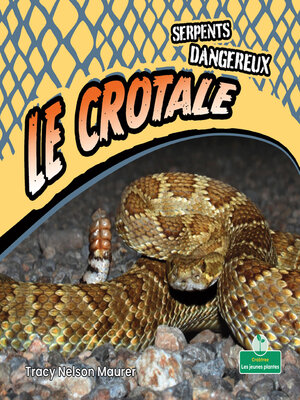 cover image of Le crotale (Rattlesnakes)